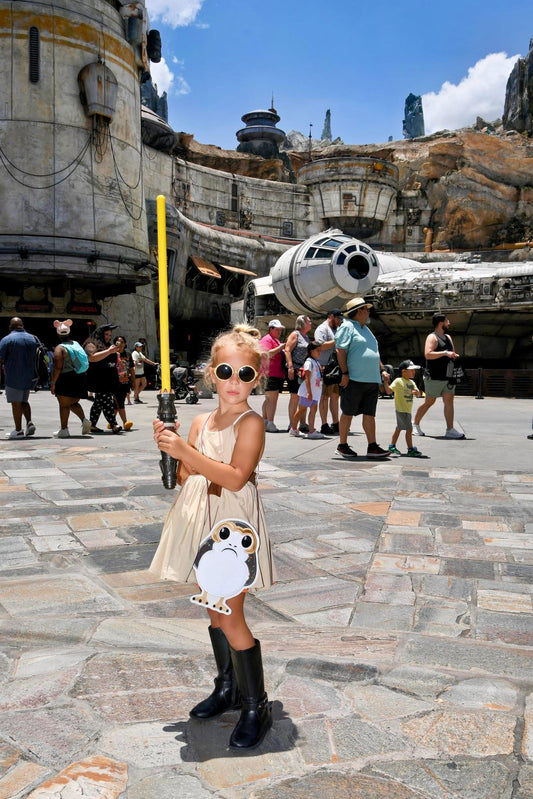 Bird flat bag (READY TO SHIP)