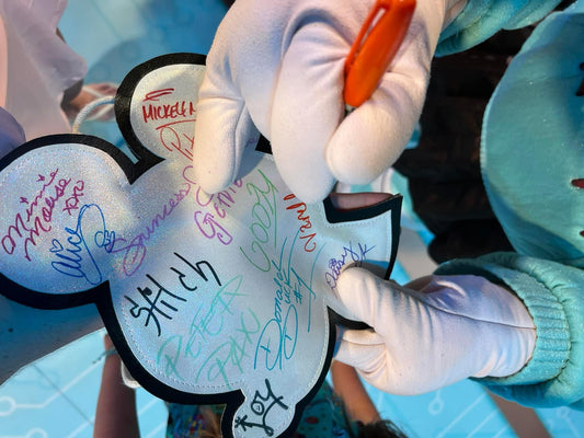 Sensational 6 Mouse Silo Autograph flat lay bag (READY TO SHIP)